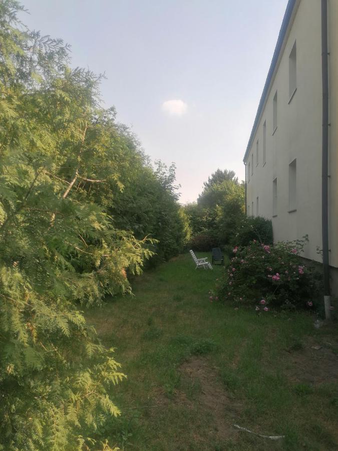 Gaestehaus An Der Warnow Lägenhet Schwaan Exteriör bild